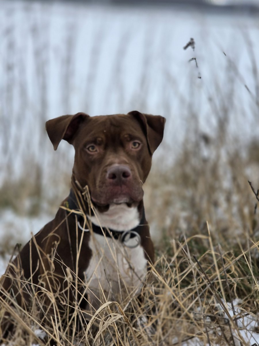 EnergyBorder's tweet image. Nike: Bei mir musst du nichts darstellen. Bring dich mit, so wie du gerade bist. Auch in deinen stillen, müden Momenten. Ich entscheide mich für dich - immer.