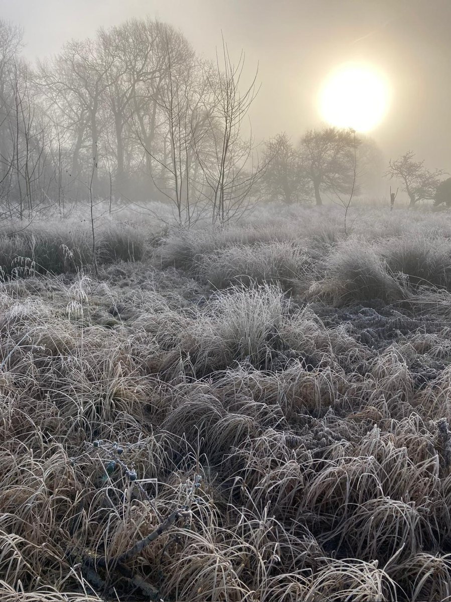 Waterperry Gardens tweet media