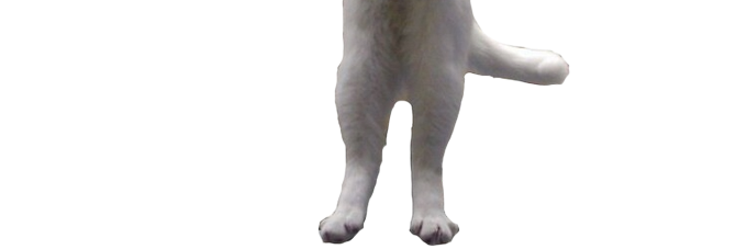 Abre el post para alargar el gato