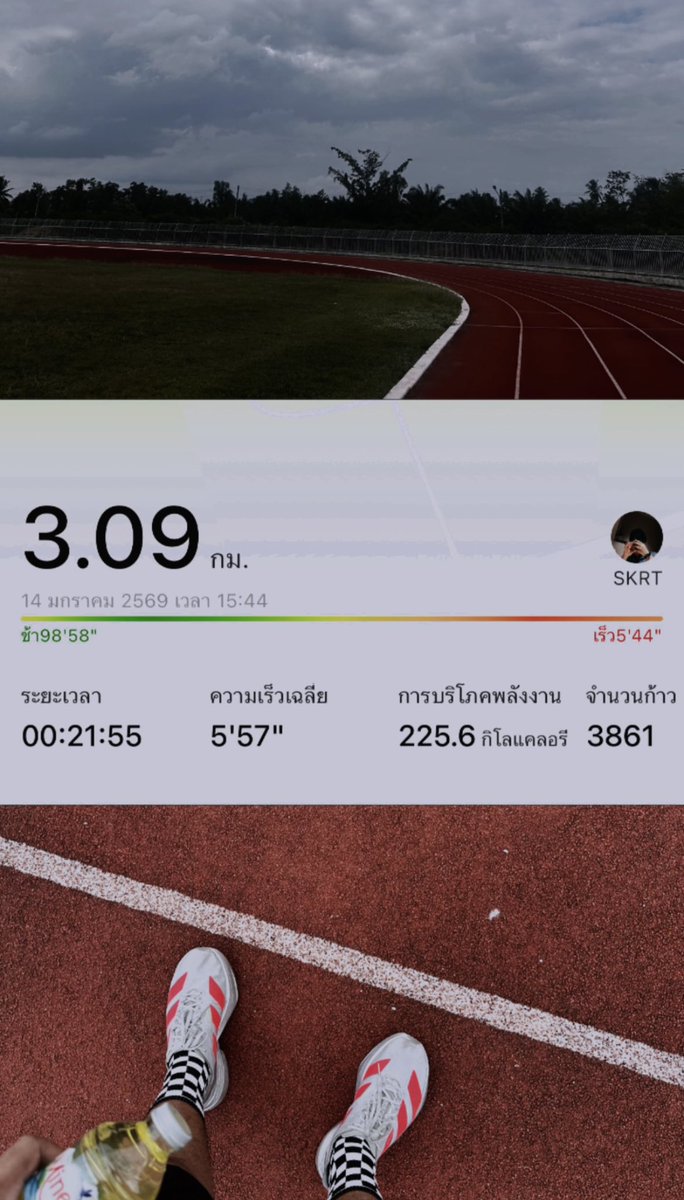 snqnɔuı̣ tweet media