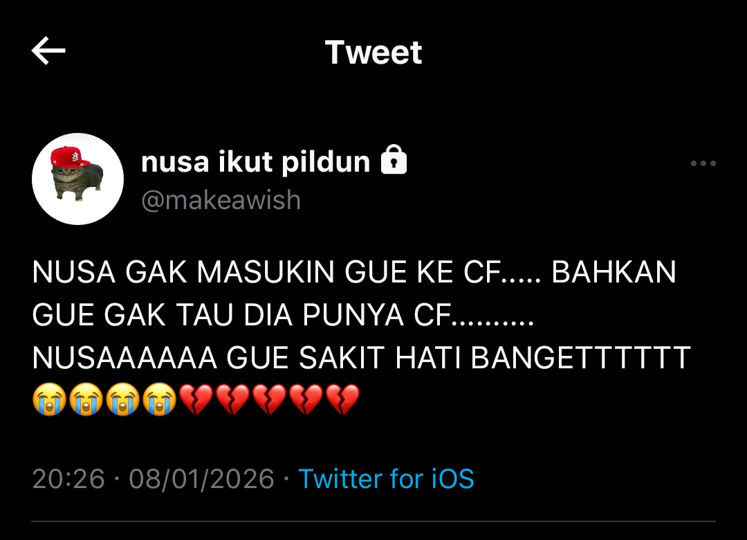 ☆. nic tweet media