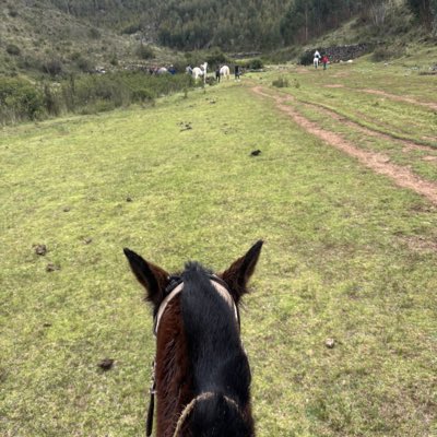 loevlay's tweet image. No tengo ninguna foto cabalgando a Manolo pero lo extraño mucho.