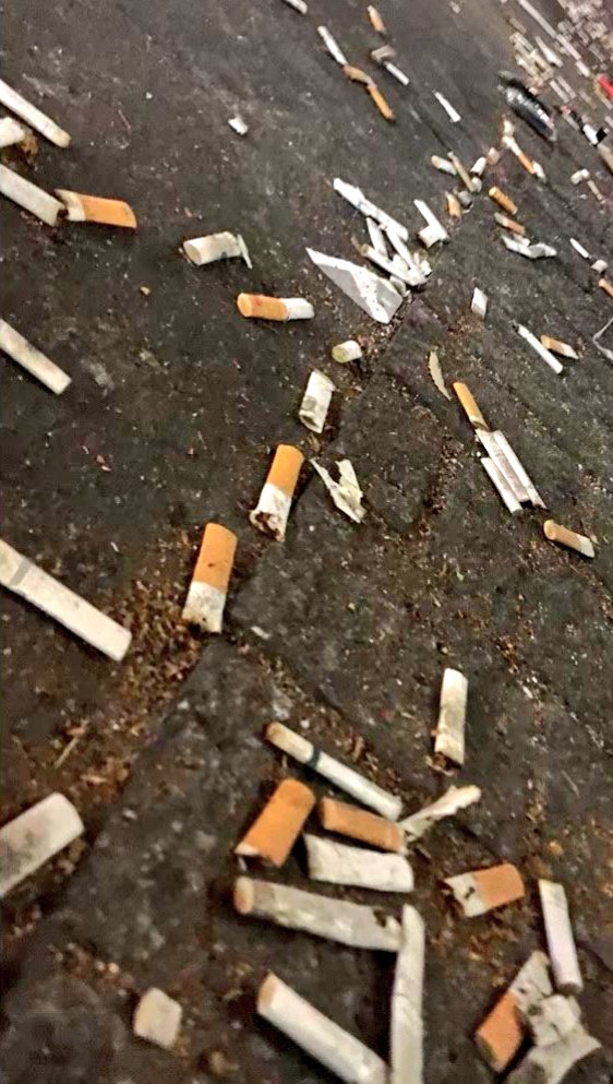 iijNWqUQ7i41630's tweet image. 全国の煙草のポイ捨ては少なく見積もって1日あたり2億本以上と推計されています。
市区町村ごとでも、私が活動する渋谷駅周辺などは1人で2時間掃除するだけで1000本を越える

その1本1本が大きな火災の火種となりうる恐ろしいものです。

だから｢煙草のポイ捨ては止めろ｣と何年も言い続けている。