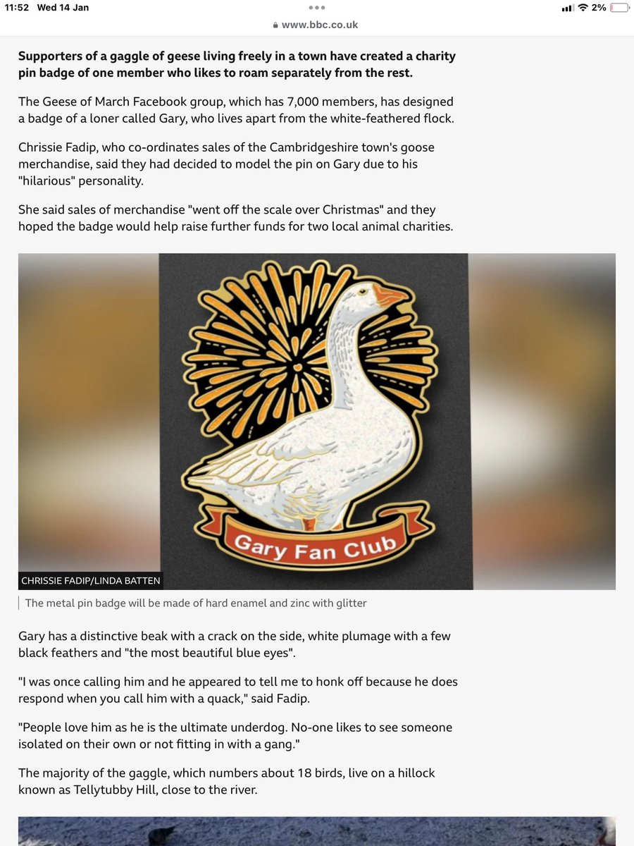 Chrissie tweet media