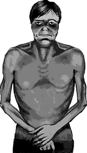 alex 🍎 ♂ | 🍉 tweet media