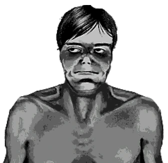 alex 🍎 ♂ | 🍉 tweet media