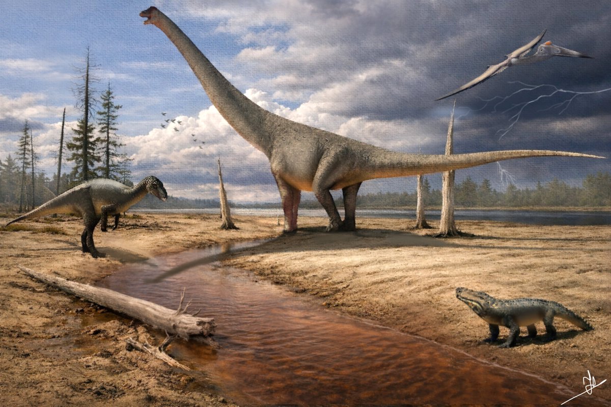 NobreJuanArt's tweet image. Presidente Prudente Formation, 66 Ma.