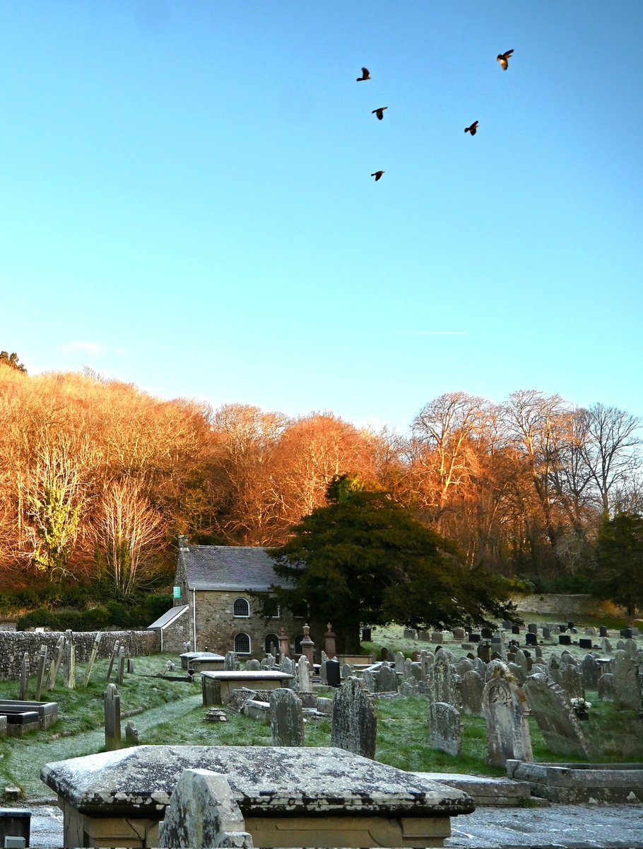 Birds overhead and early morning sun to the front of the Abbey today.