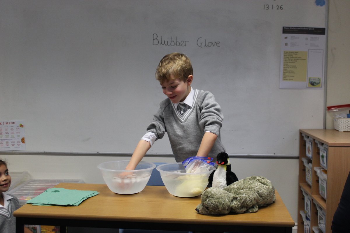 DurlstonPreprep's tweet photo. #DurlstonYr2 have been learning about animal adaptations. How can polar animals survive in freezing temperatures? The blubber glove was the perfect experiment - two bowls of icy water, two hands, one bare and one in blubber. Lots of squeals amidst the learning! #DurlstonScience https://t.co/DoutZNxCX1
