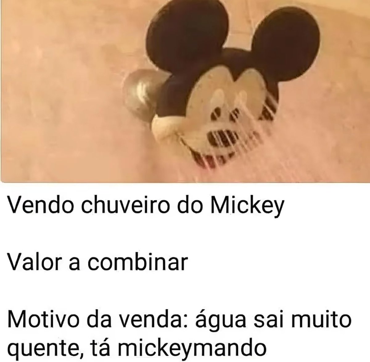 burrosgeniais's tweet image. 