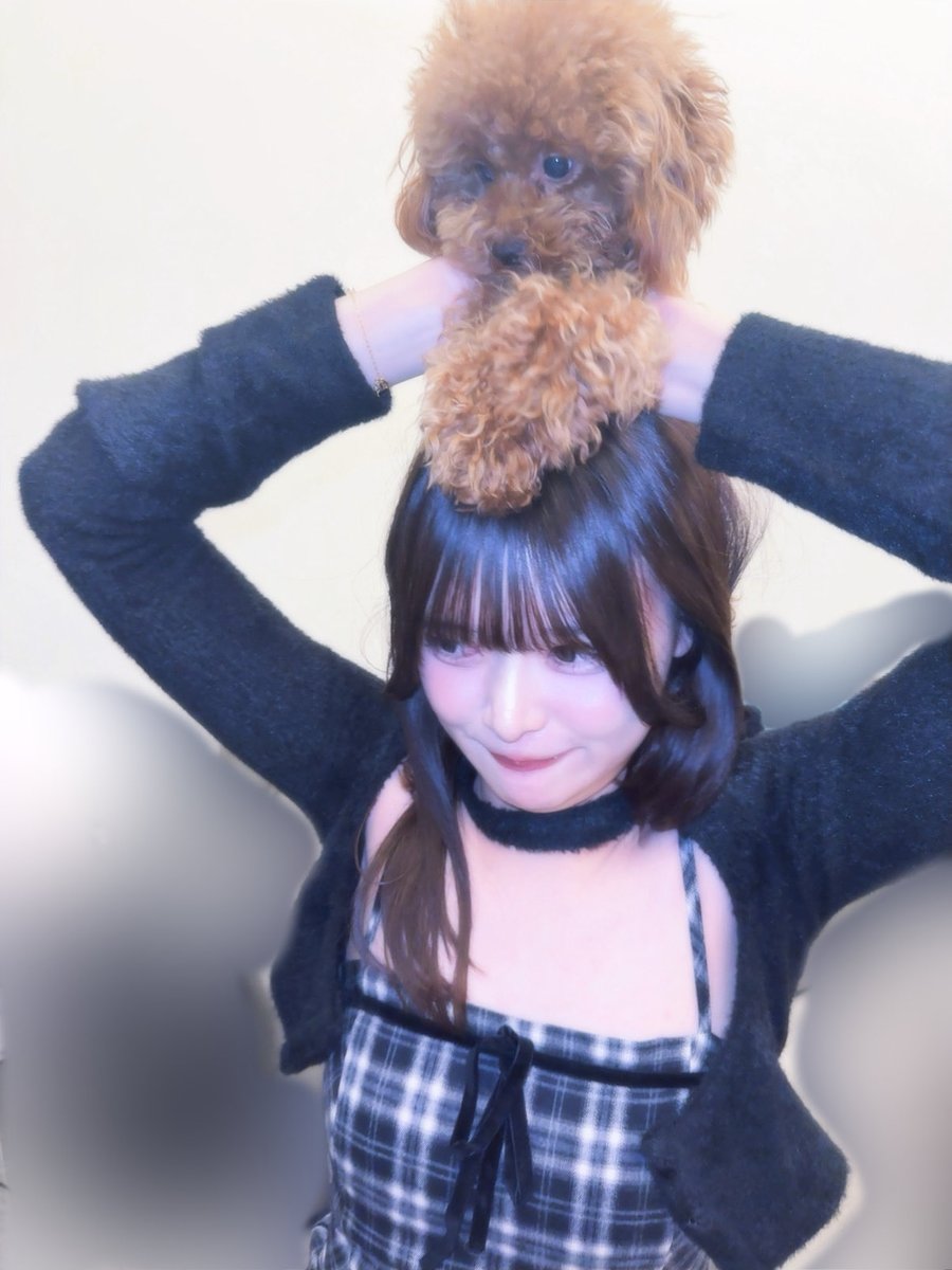 津代舞奈 tweet media