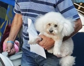 arroyitown's tweet image. La cara de un tipo que sabe que va a tener que comer Sabrositos seis meses porque se gastaron la que iba al alimento bueno en una lámpara del Gigante de Arroyito.