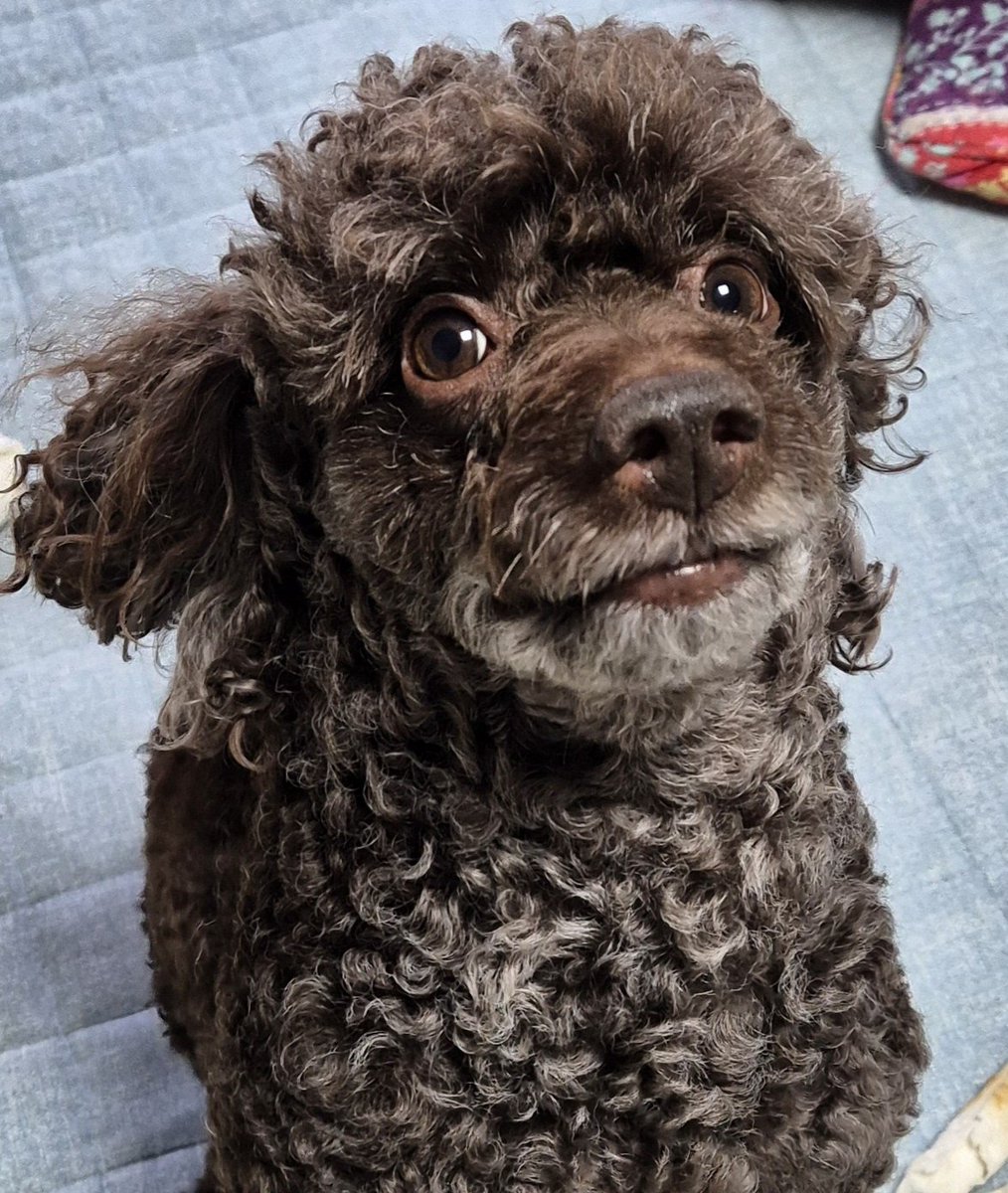 뭘 그리 놀라는거야