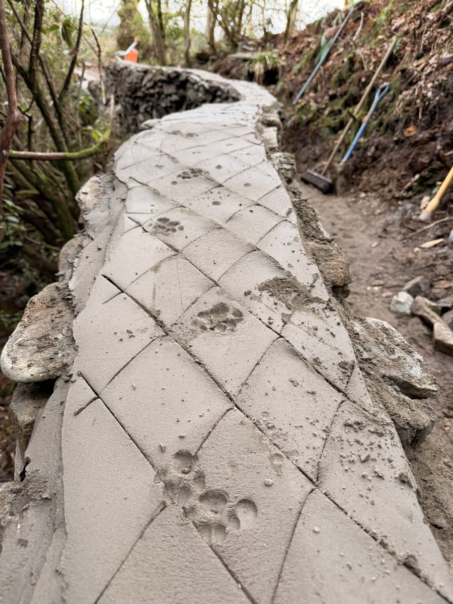 The Linn Botanic Garden tweet media