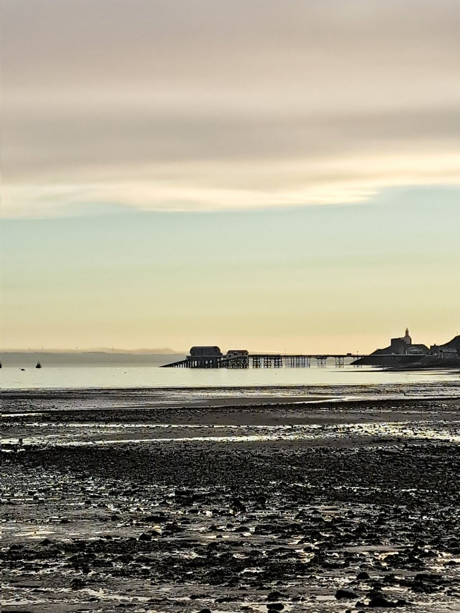 Tracy Rees tweet media