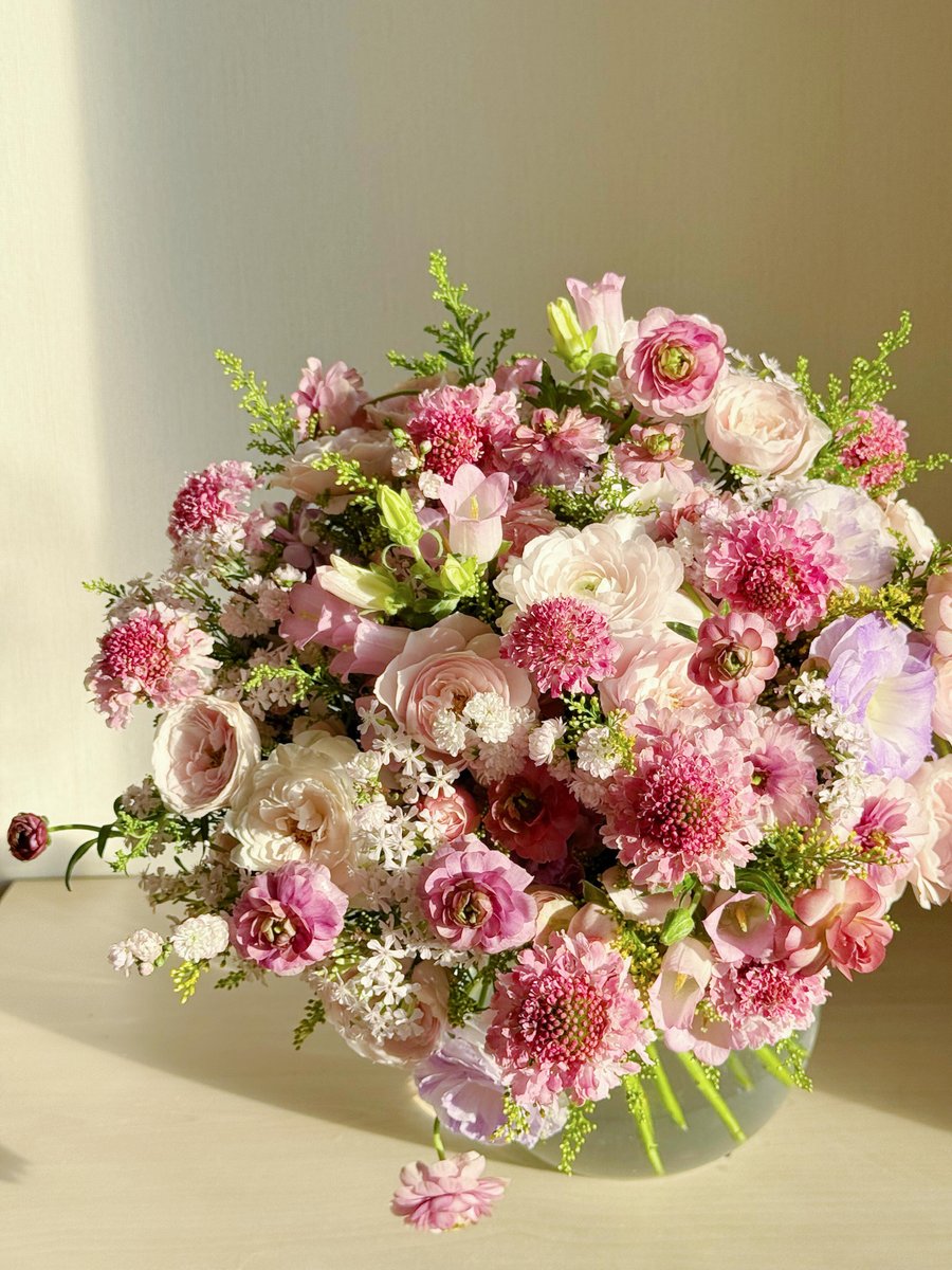 Ocean_1Script's tweet image. Life may be trivial, but there is poetry in every flower