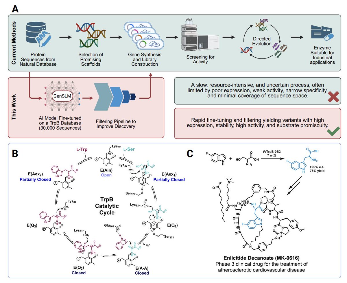 bravo_abad's tweet photo. AI-generated enzymes that outperform both nature and laboratory evolution

Enzymes are the catalysts that make green chemistry possible—but finding a good starting point for optimization remains one of the biggest bottlenecks in biocatalyst development. You can screen thousands of natural enzymes hoping one accepts your target substrate, or you can evolve an existing enzyme through many rounds of mutagenesis and selection. Both paths are slow and uncertain.

Théophile Lambert, Frances Arnold, and coauthors take a different approach. They fine-tune GenSLM—a protein language model that uniquely operates at the codon (DNA) level rather than amino acid level—on 30,000 tryptophan synthase β-subunit (TrpB) sequences. After filtering candidates using ESMFold for structural confidence and selecting 105 for synthesis, they find something remarkable: many AI-generated TrpBs not only express well in E. coli and show high catalytic activity, but exhibit broader substrate promiscuity than any natural TrpB tested.

One variant, called 230, stands out. It accepts every non-canonical substrate in the panel—including challenging transformations like 4-nitroindole, naphthol, and L-threonine—where natural enzymes show little or no activity. It matches or exceeds yields from laboratory-evolved variants that required extensive directed evolution campaigns. On 5-fluoroindole (used industrially to make enlicitide decanoate, a phase 3 cardiovascular drug), 230 achieves 99% yield, rivaling the engineered PfTrpB-0B2 that Merck currently uses.

When the authors compare 230 to its closest natural homolog (80.5% sequence identity), the contrast is stark: despite nearly identical active sites and predicted structures, the natural enzyme lacks both the high-temperature activity and the broad substrate scope. The enhanced versatility isn't inherited from nature—it emerges from the generative process itself.

The implication is significant: generative AI can now produce enzyme libraries that combine expression, stability, and promiscuity in ways that neither natural diversity nor traditional engineering reliably delivers, potentially compressing months of biocatalyst discovery into weeks.

Paper: https://t.co/9Ymallr7ZQ
