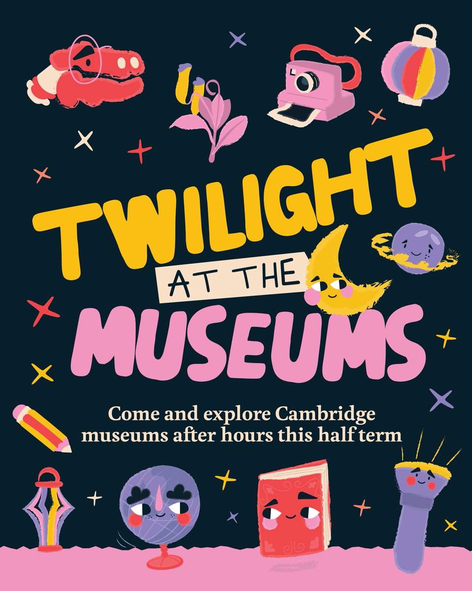 Museum of Classical Archaeology tweet media