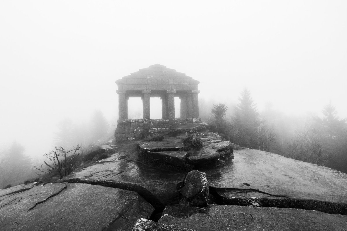 devisu_art's tweet image. La suite, bêtes et temples 📷