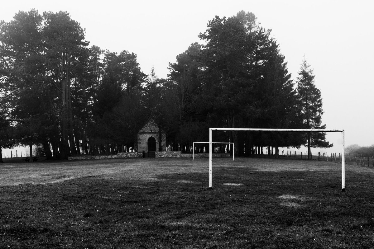 devisu_art's tweet image. La suite, bêtes et temples 📷