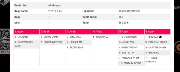 Tampa bay 1 Salih bol şanslar