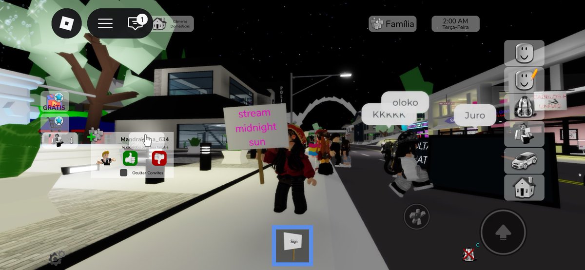 rubyvzini's tweet image. fazendo minha parte no roblox
