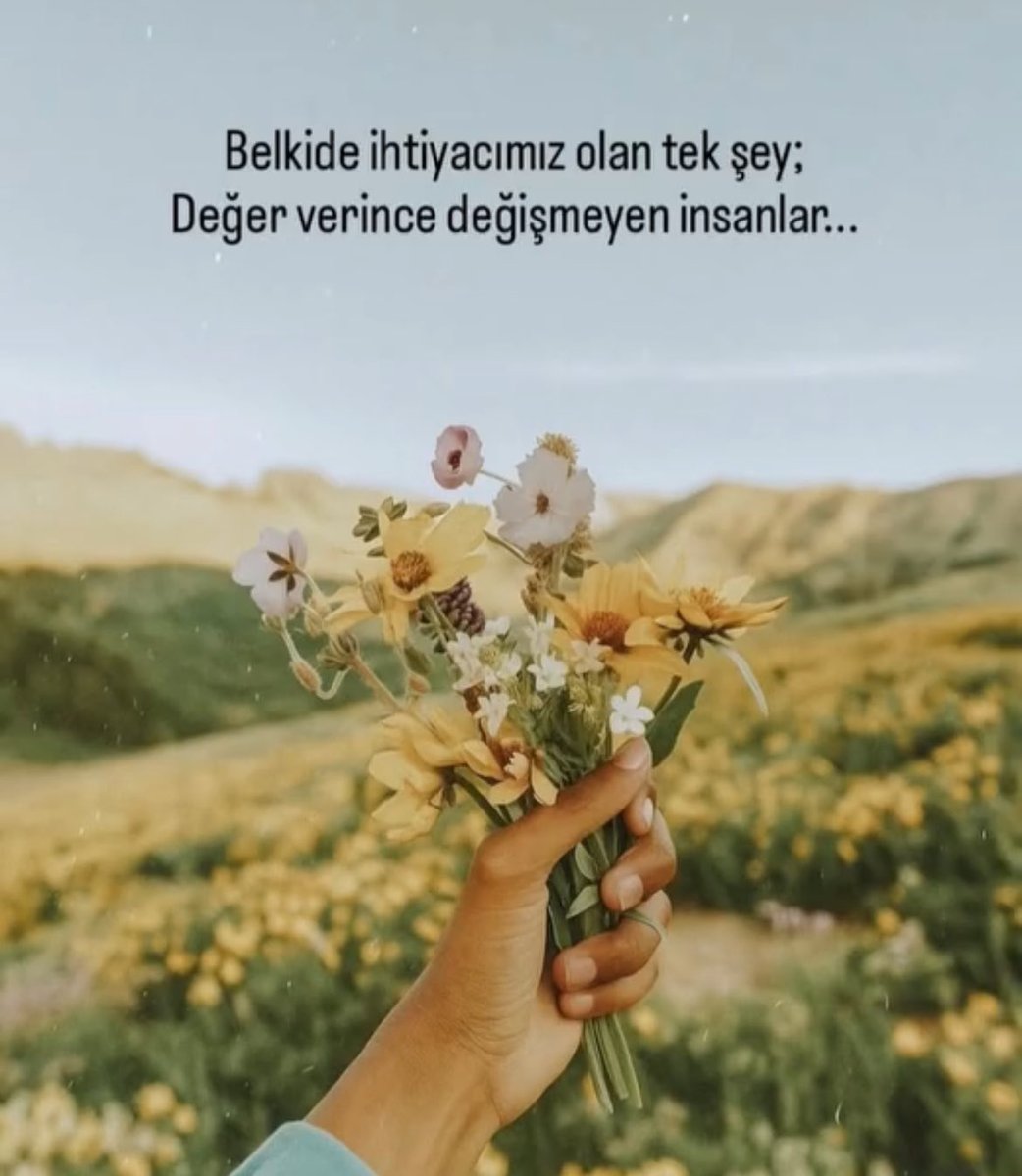 AutoLost's tweet image. 