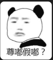 p盘总是输，骚话我也想不出，我是大笨猪