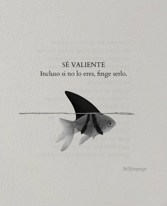 Mente_estoico's tweet photo. 15 duras Lecciones de Vida que debes entender:

1. https://t.co/ukfh5q37zB