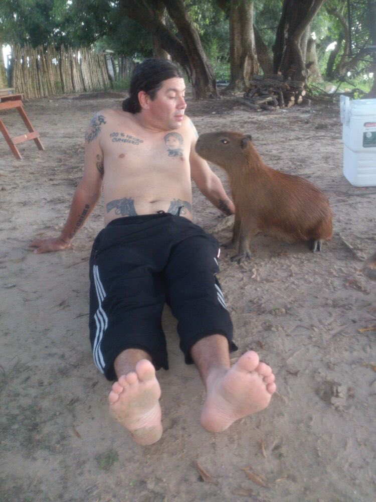 ¡Con los carpinchos no!