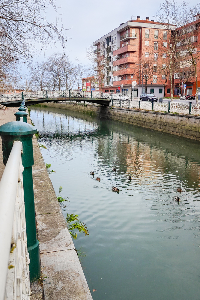 ¿Sin #planes para hoy? deplanesporlacomarca.com/agenda/2026-01/ 😉 #planesdefindesemana #quehacerenlacomarca