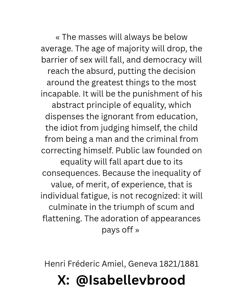 Isabelle van brood tweet media