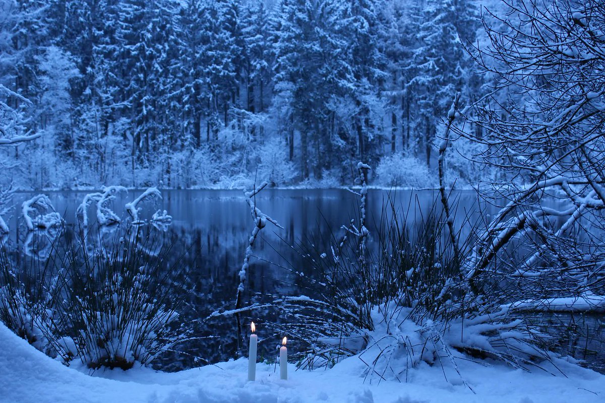 DarkMountainProject tweet media