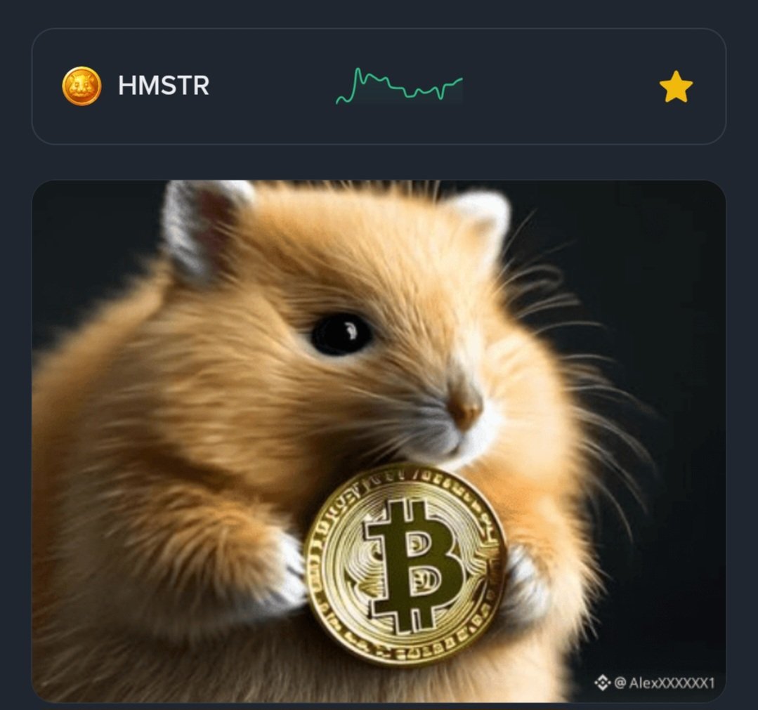 CRIPTOS2019's tweet photo. @hamster_kombat To the moon https://t.co/cr6wNhLqVK