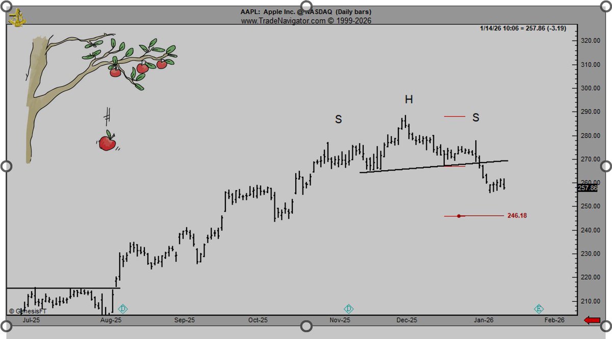 PeterLBrandt's tweet photo. Look out below
First target from H&amp;S top is 247, then lower
$AAPL https://t.co/haMgsAkIDq