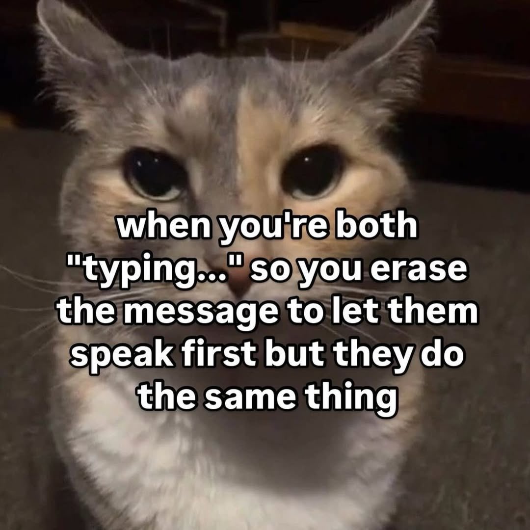 literallymecats's tweet photo. https://t.co/vfY4l1dU9U
