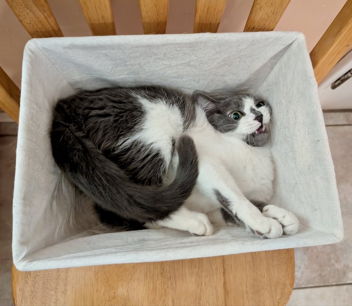 Katelyn Becker tweet media