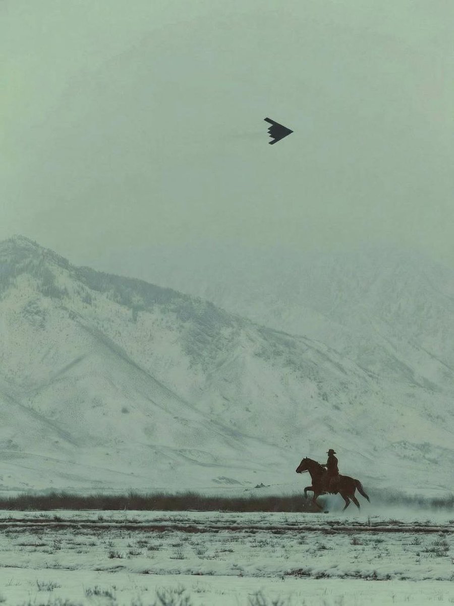 This is probably the most American image of 2025