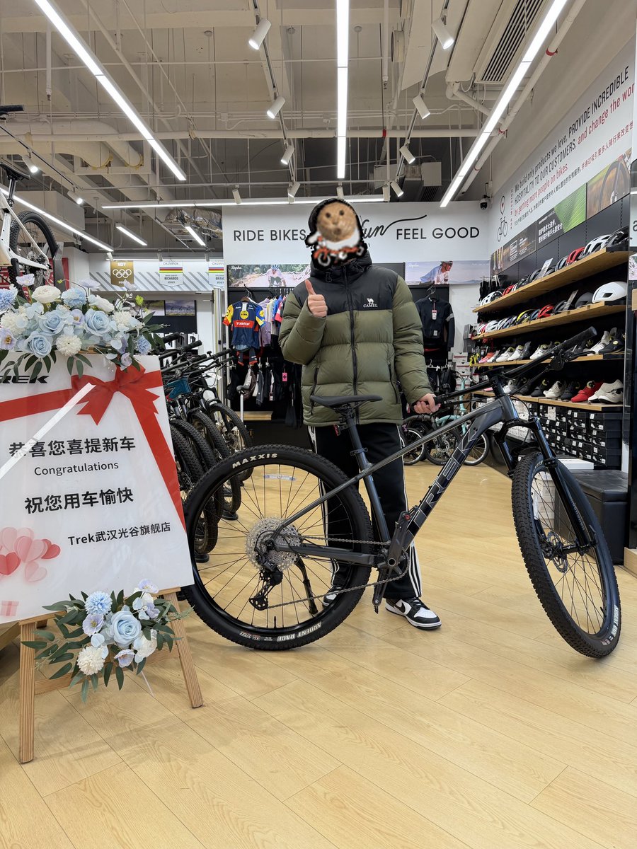 非凡牛牛 tweet media