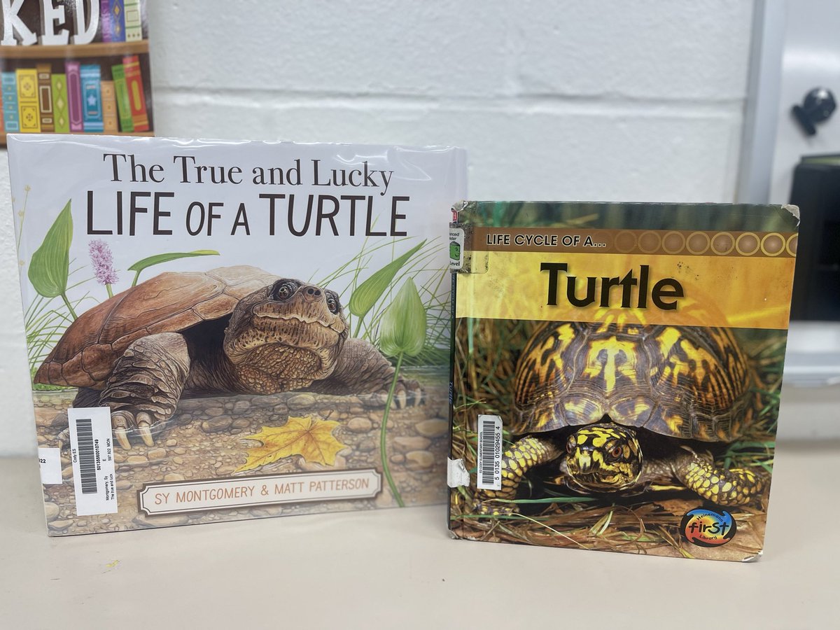 NISDCodyLibrary's tweet photo. Exploring informational text through this amazing story of Fire Chief the snapping turtle in, The True and Lucky Life of a Turtle. Students are learning diff ways authors share information. What an incredible story! 🐢 https://t.co/LZzZvtk3Ym