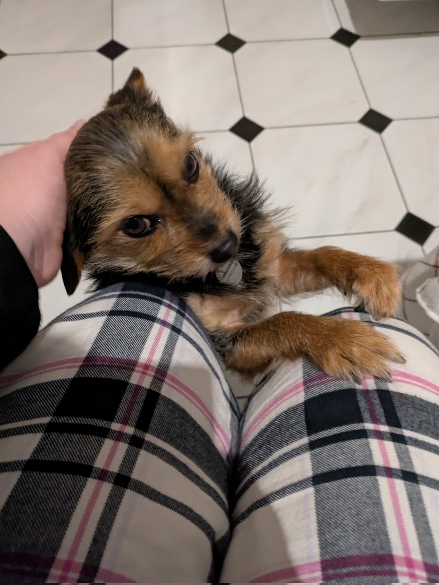 cabbage_sad's tweet image. Лишилася третина

 Бус для ППО

Бус для мобільного пункту керування підрозділу протиповітряної оборони 115 ОМБр

🎯 Ціль: 30 000 ₴

🔗Посилання на збір
send.monobank.ua/jar/VYzdK93ZC