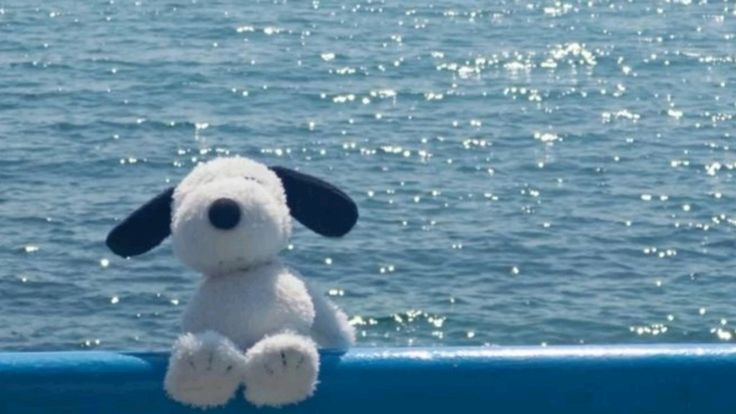 Calum (@cosasdecalum1) on Twitter photo 