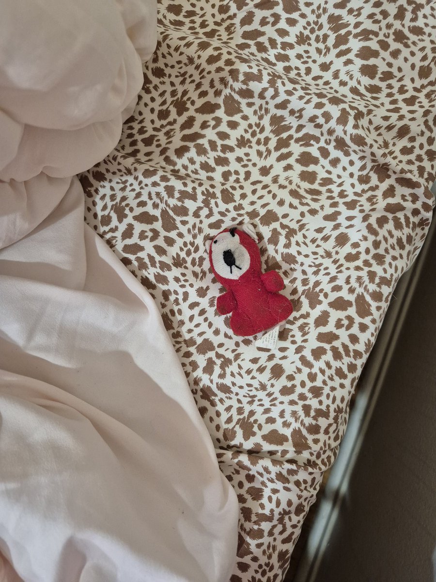 FUZZYORANGEGIRL's tweet photo. remeber to put ur fabroite toy in the bed so ur momb or dade knows u lovf them so muchly !!! https://t.co/Vu6W3uRj9g