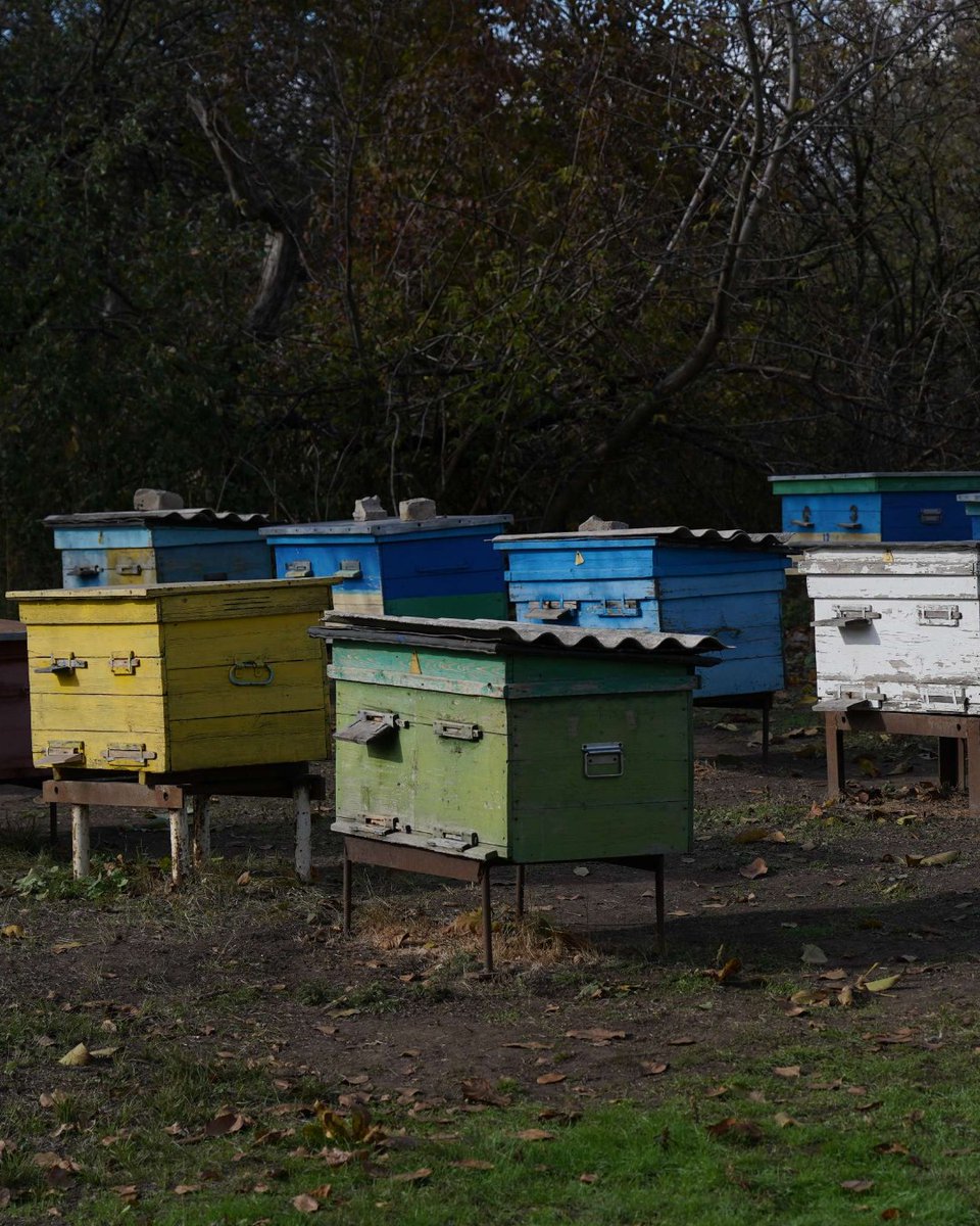 WorldVision's tweet image. After fleeing conflict, Dmytro and Liubov rebuilt their future with help from World Vision. They joined vocational training, participated in a beekeeping course, and developed their first business plan. Now they have the equipment, knowledge, and a roadmap for a secure future.