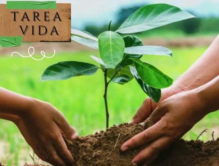 Cuidar el medio ambiente es una tarea de todos. #Cuba #CalidadSomosTodos <a href="/citmaciego/">citmaciego</a>