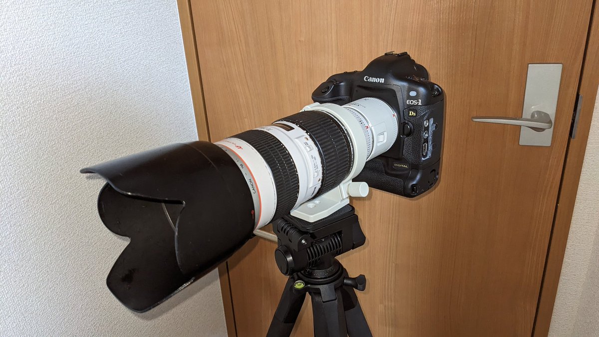 うるとらそにっく tweet media