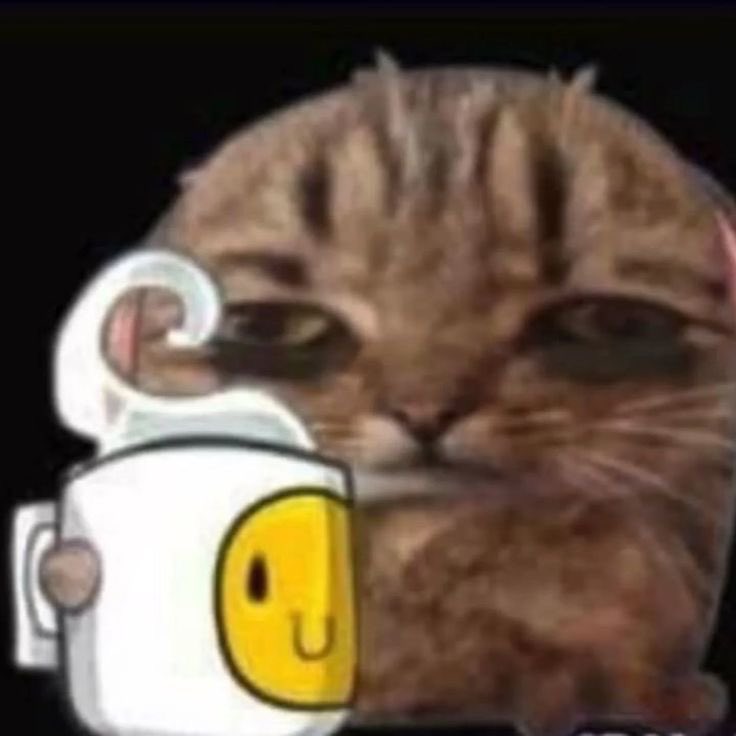 miyarah_'s tweet image. volvió a fallar el plan de dormir temprano