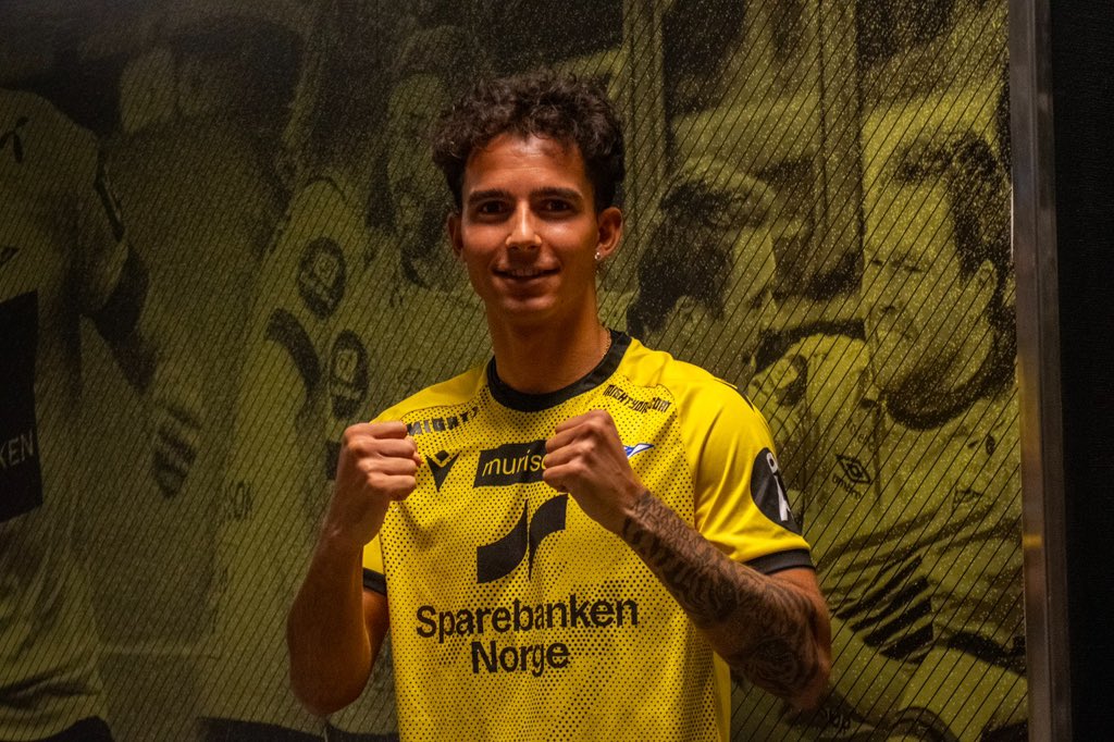 Alexander Gurendal tweet media