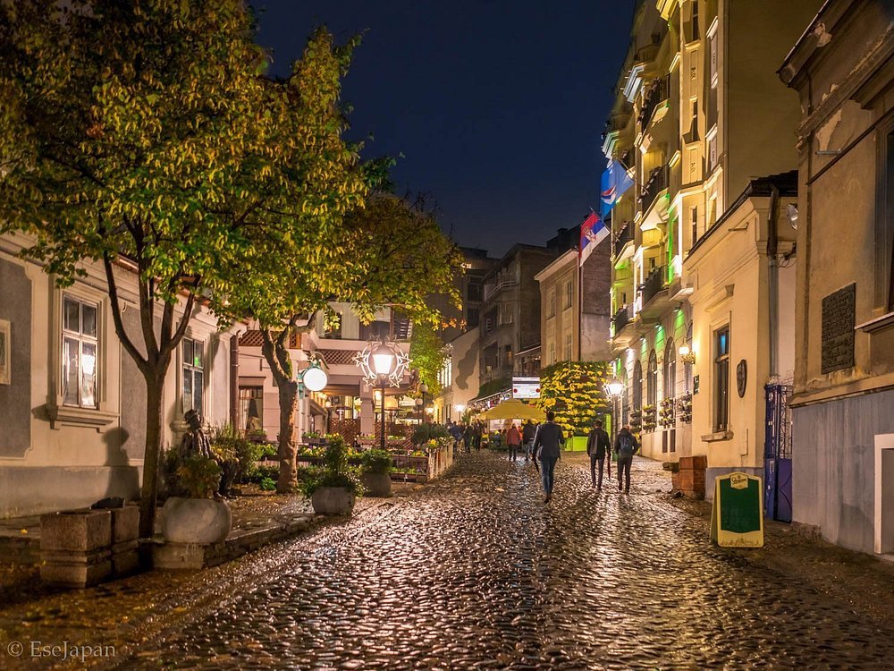 Скадарлија. Име потиче директно од назива града Скадра. Године 1872., када је у Београду вршено званично именовање улица, ова улица је добила име Скадарска. Како је време пролазило, у народу се за цео тај крај одомаћио назив Скадарлија.
У то време, многи називи улица у Београду