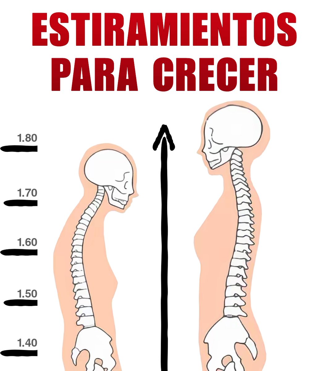 9 Ejercicios de Estiramientos para crecer...

--Hilo--